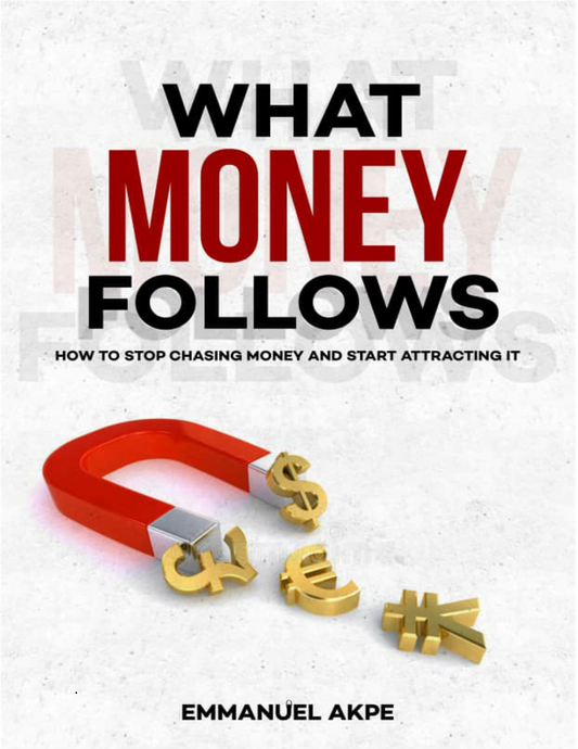 What Money Follows: 13 Life Principles That Attract Wealth Without Chasing It